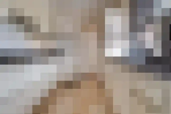 Lijsterhof 12 Stadskanaal thumbnail 18
