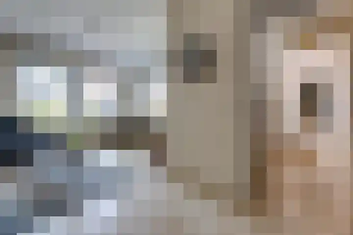 Lijsterhof 12 Stadskanaal thumbnail 22