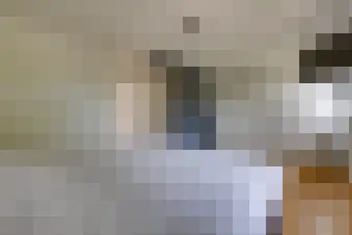 Lijsterhof 12 Stadskanaal thumbnail 28