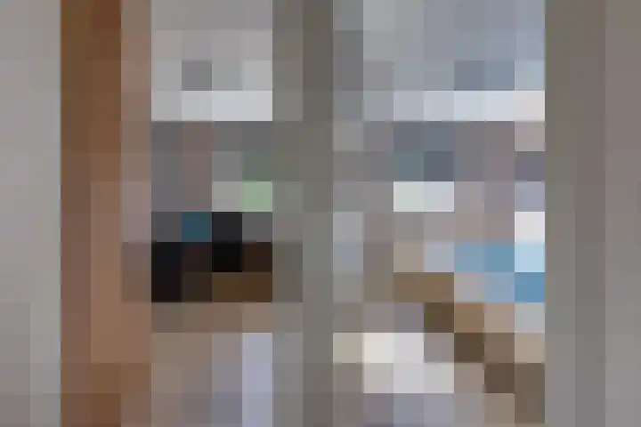 Lijsterhof 12 Stadskanaal thumbnail 30