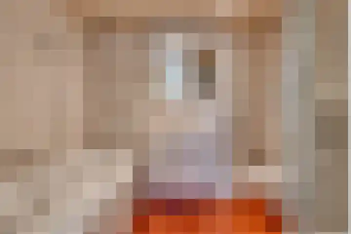Lijsterhof 12 Stadskanaal thumbnail 34