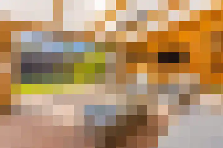Lijsterhof 12 Stadskanaal thumbnail 4