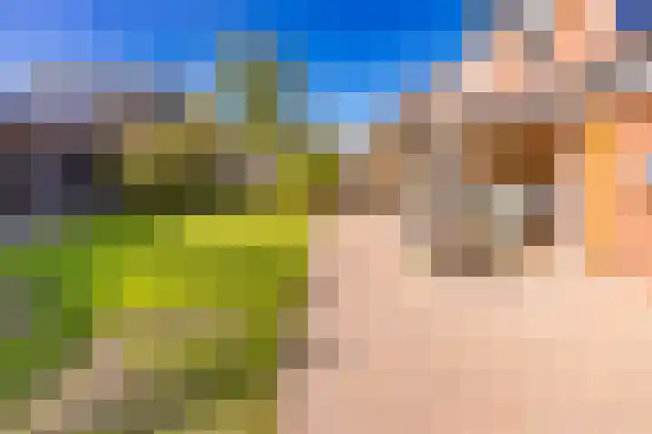 Lijsterhof 12 Stadskanaal thumbnail 42