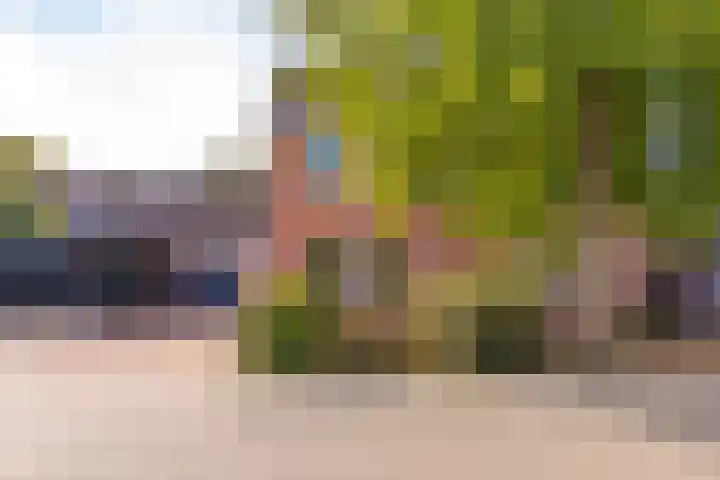 Lijsterhof 12 Stadskanaal thumbnail 7