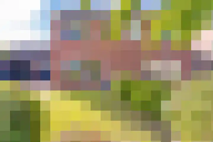 Lijsterhof 12 Stadskanaal thumbnail 8