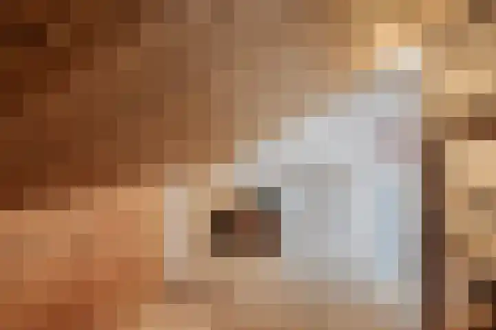 Lijsterhof 20 Made thumbnail 23