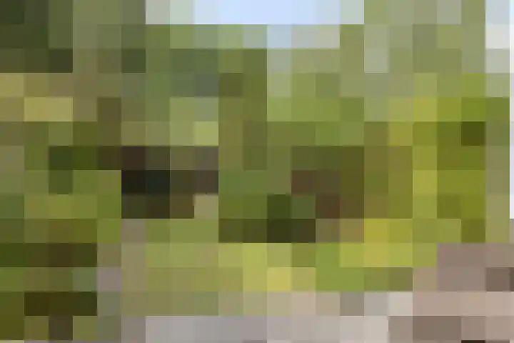 Lijsterhof 20 Made thumbnail 25
