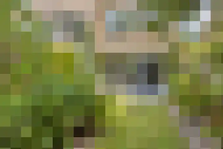 Lijsterhof 20 Made thumbnail 26