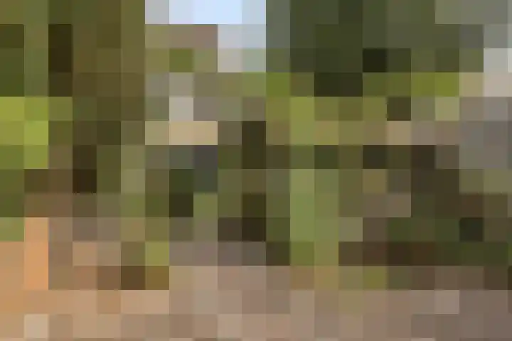 Lijsterhof 20 Made thumbnail 28