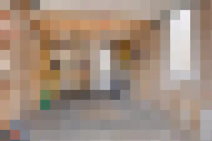 Lijsterhof 20 Made thumbnail 29