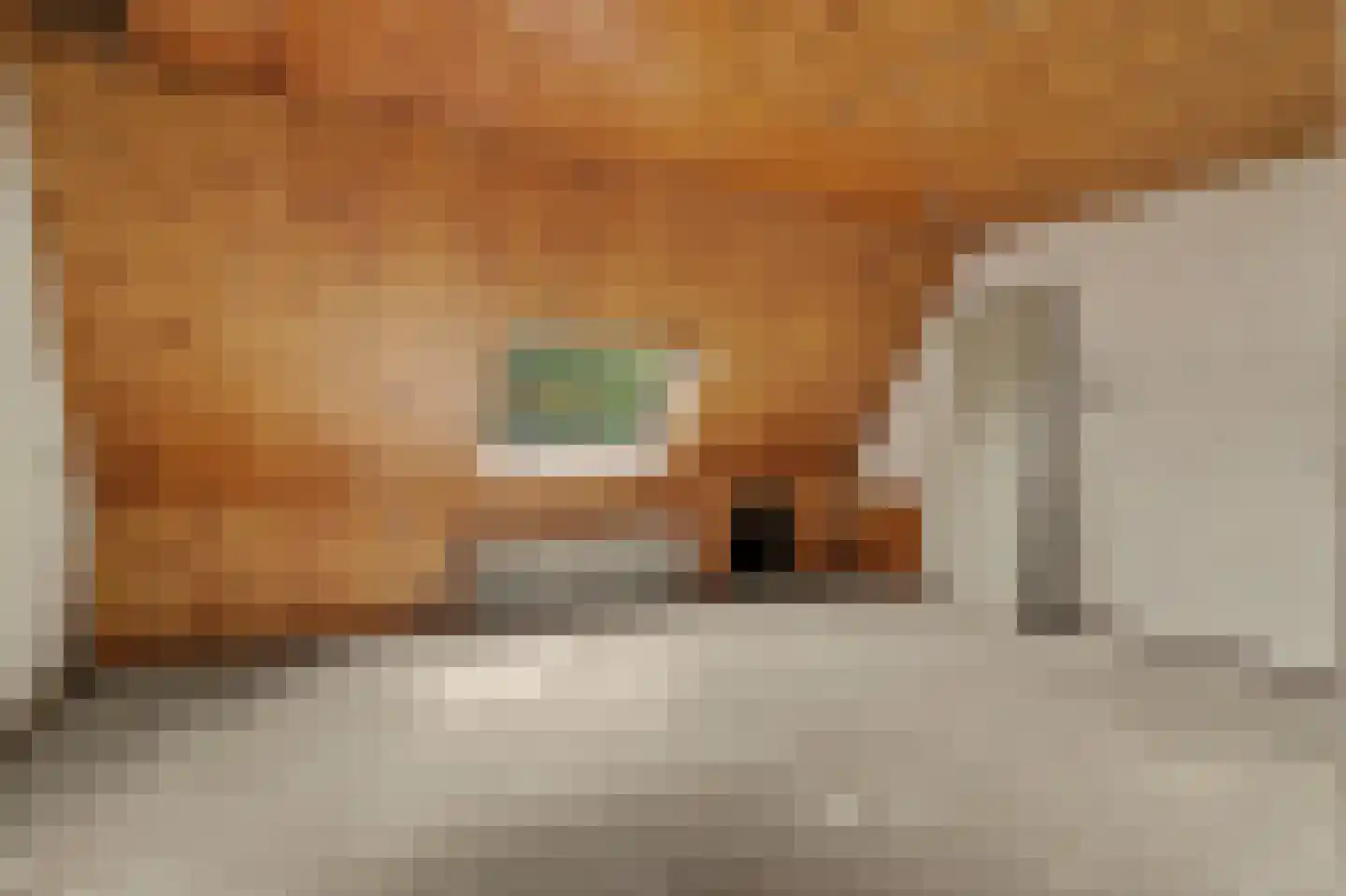 Lijsterhof 29 Made thumbnail 42