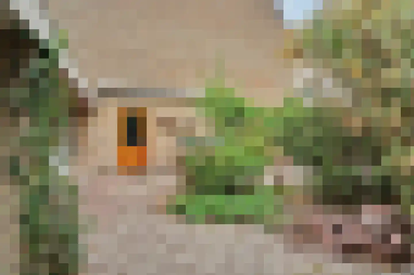 Lijsterhof 29 Made thumbnail 50