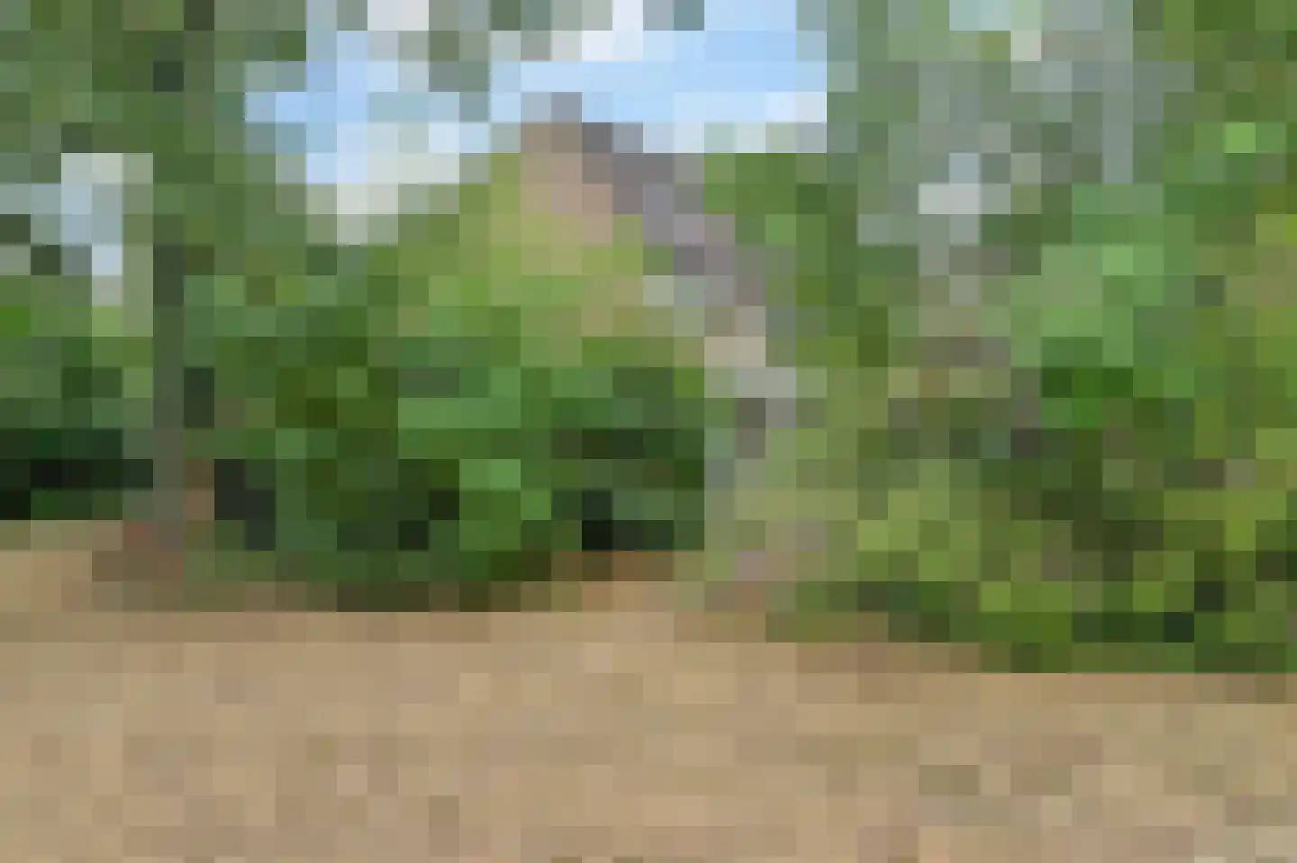 Lijsterhof 29 Made thumbnail 51