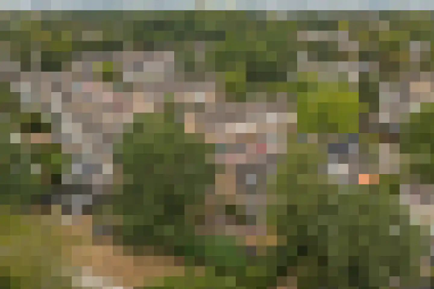Lijsterhof 29 Made thumbnail 57