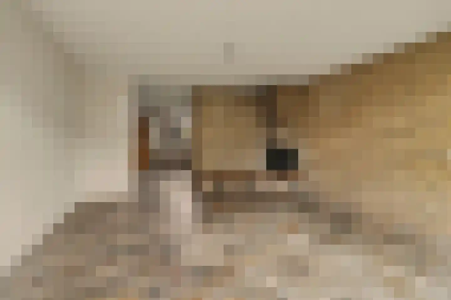Lijsterhof 29 Made thumbnail 8