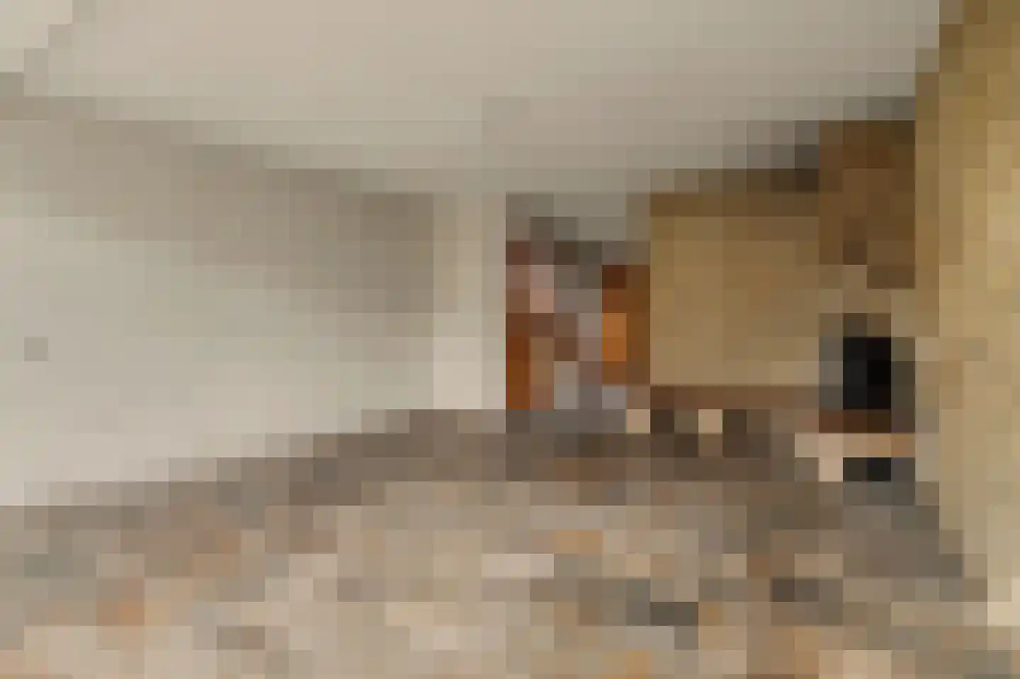 Lijsterhof 29 Made thumbnail 9