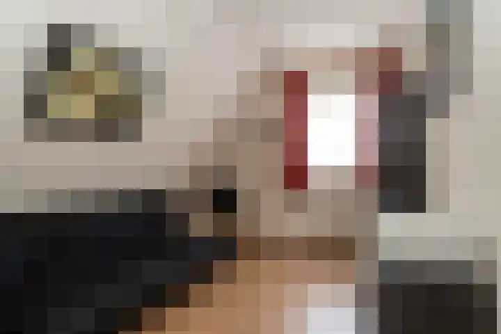 Lijsterhof 30 Stadskanaal thumbnail 21