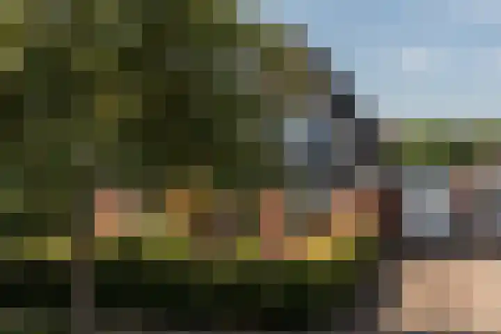 Lijsterhof 30 Stadskanaal thumbnail 27
