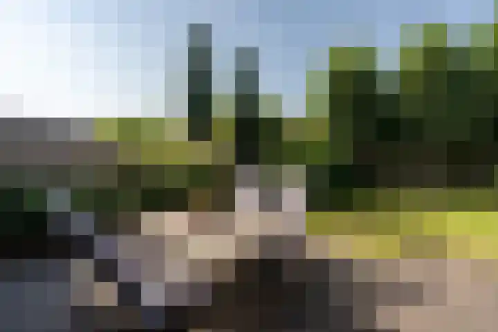 Lijsterhof 30 Stadskanaal thumbnail 28
