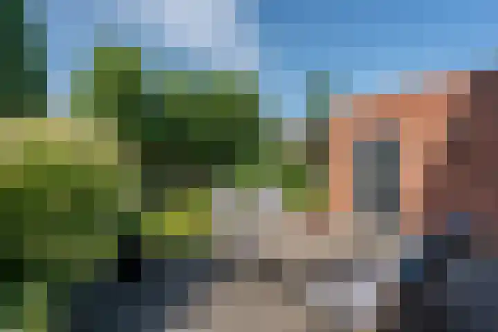Lijsterhof 30 Stadskanaal thumbnail 29