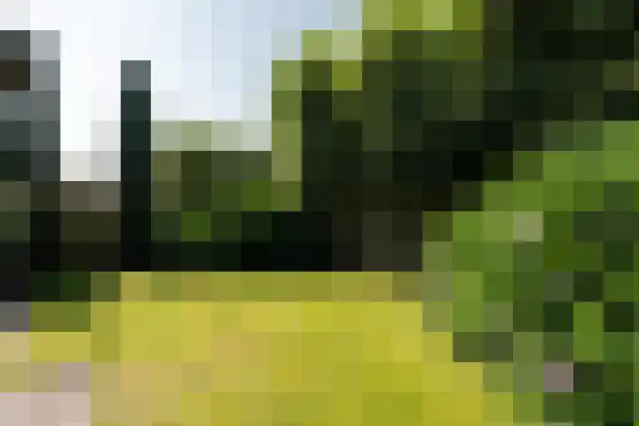 Lijsterhof 30 Stadskanaal thumbnail 30