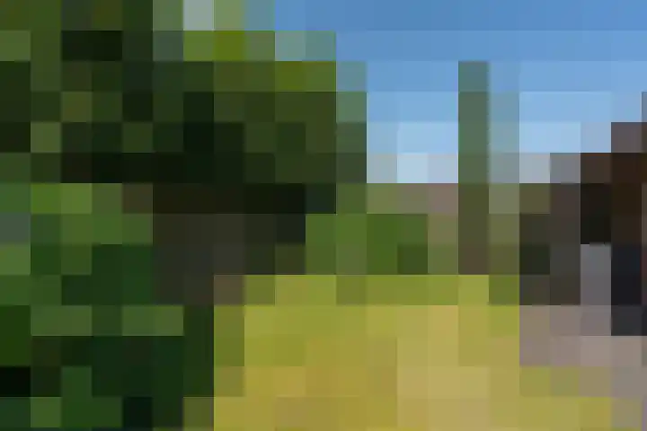 Lijsterhof 30 Stadskanaal thumbnail 31