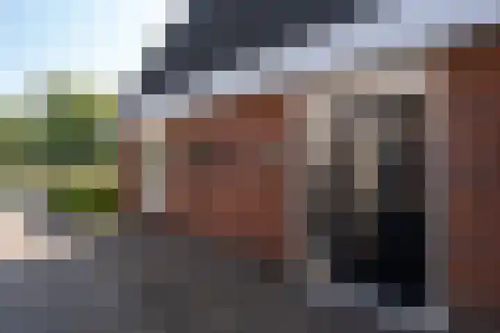 Lijsterhof 30 Stadskanaal thumbnail 35