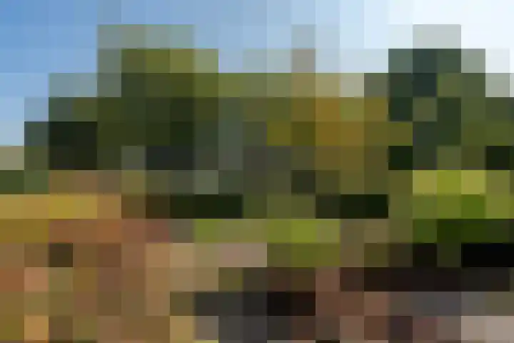 Lijsterhof 30 Stadskanaal thumbnail 36