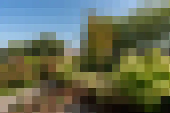 Lijsterhof 30 Stadskanaal thumbnail 37