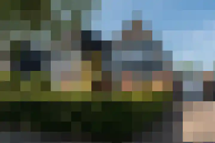 Lijsterhof 30 Stadskanaal thumbnail 38