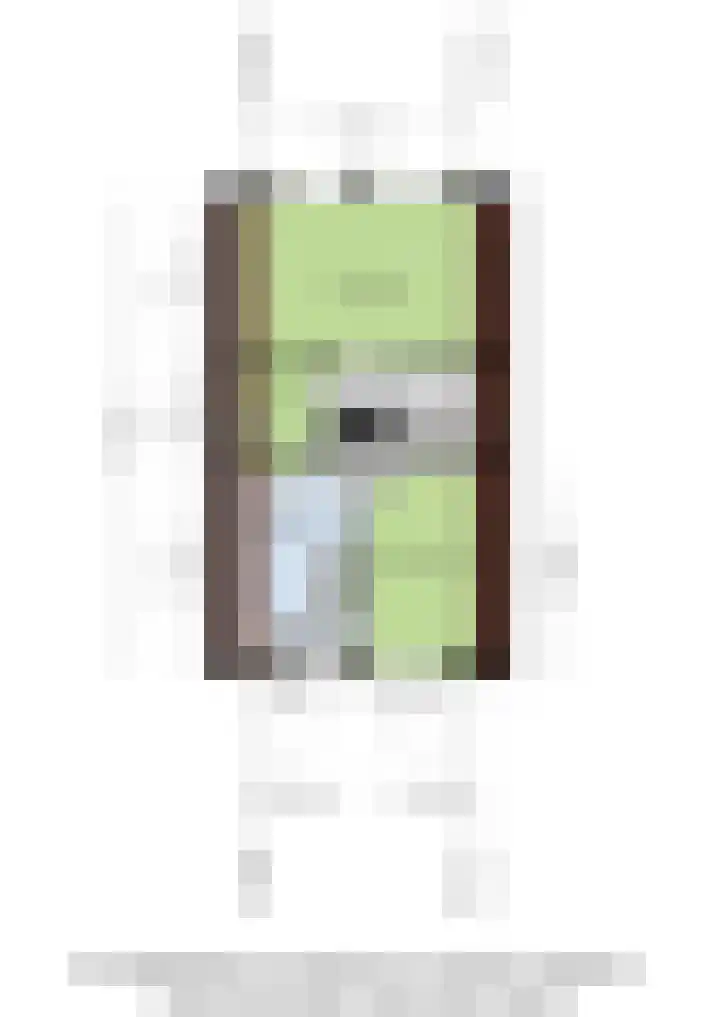 Lijsterhof 30 Stadskanaal thumbnail 40