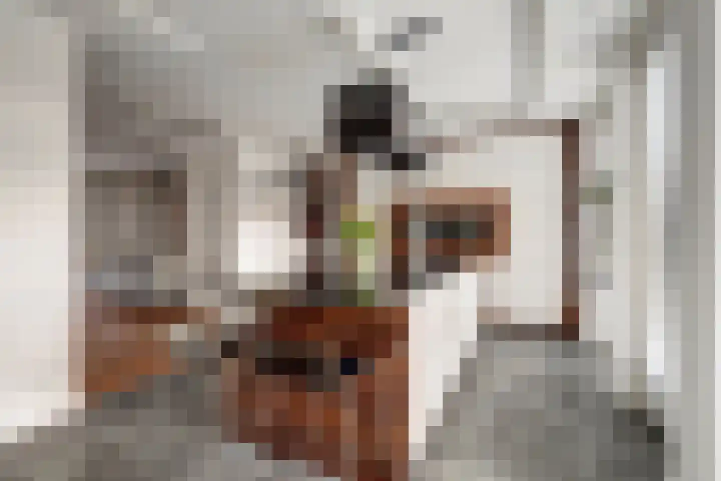 Lijsterhof 41 Zeewolde thumbnail 15