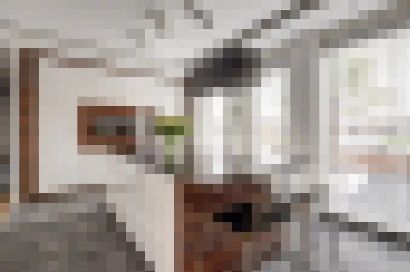 Lijsterhof 41 Zeewolde thumbnail 18