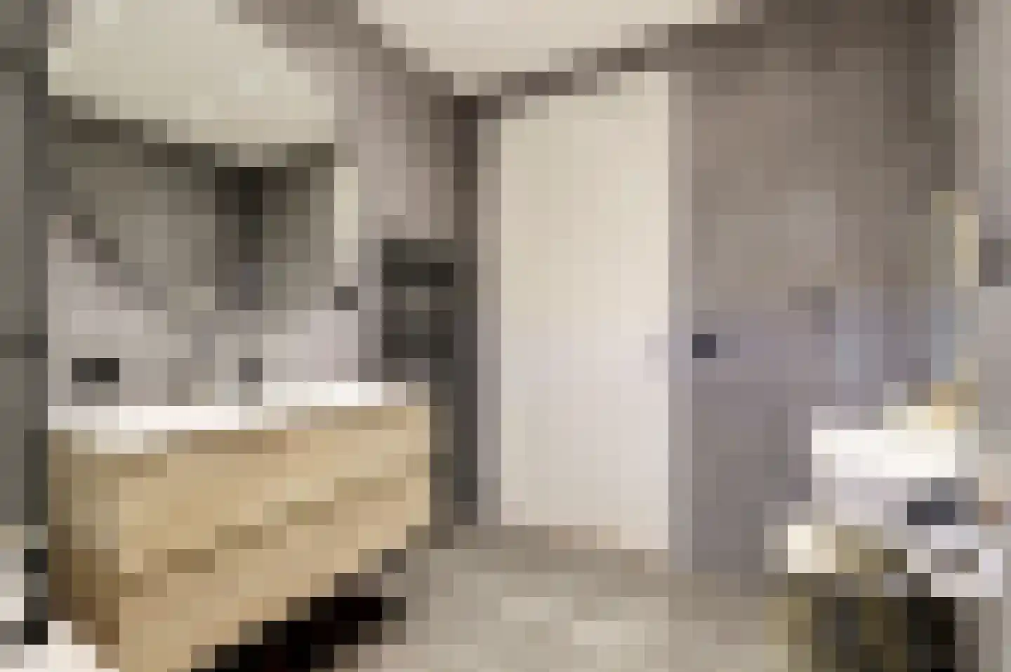 Lijsterhof 41 Zeewolde thumbnail 33