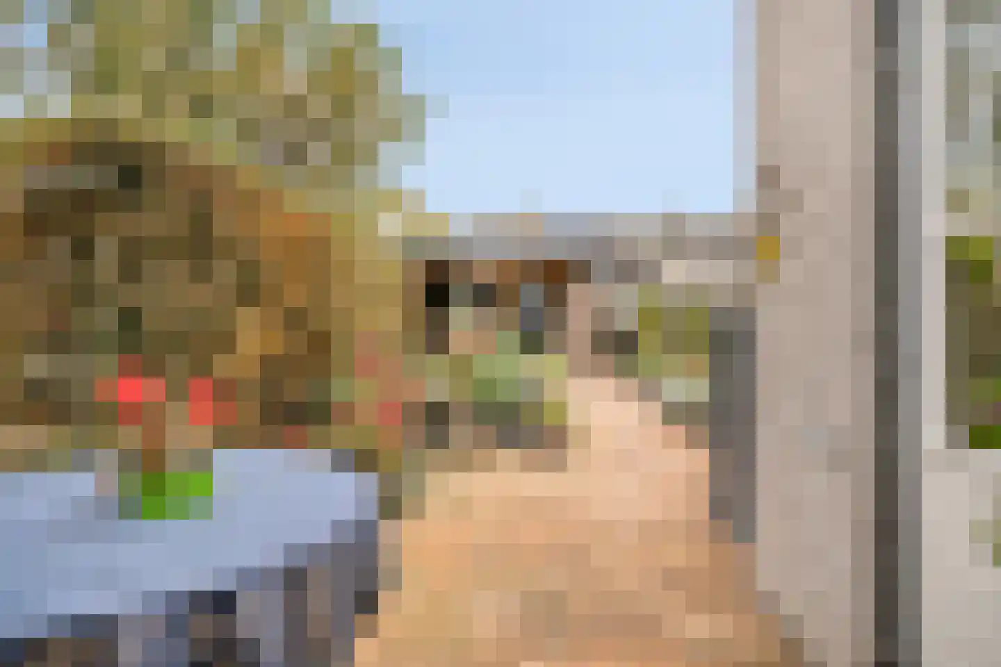 Lijsterhof 43 Made thumbnail 34