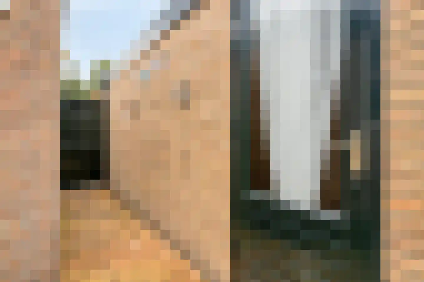 Lijsterhof 43 Made thumbnail 38