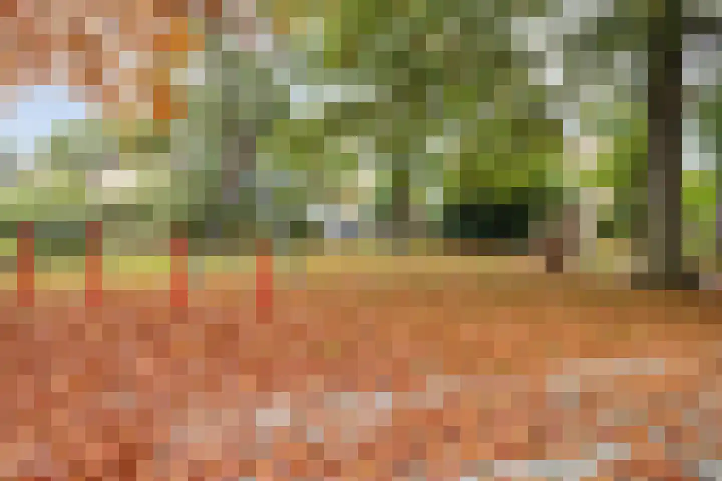 Lijsterhof 43 Made thumbnail 45