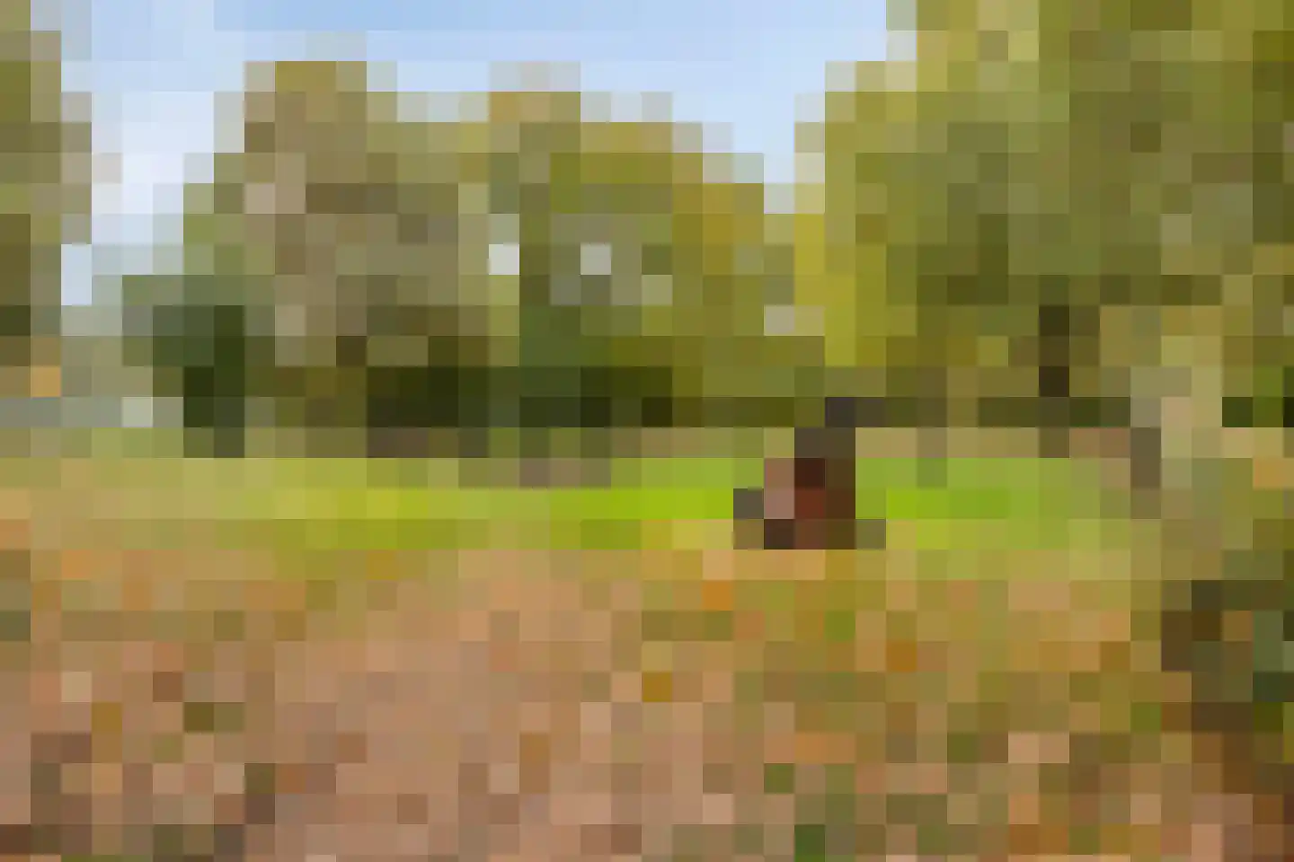 Lijsterhof 43 Made thumbnail 48