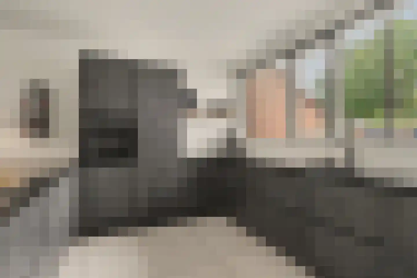 Lijsterhof 66 Made thumbnail 11
