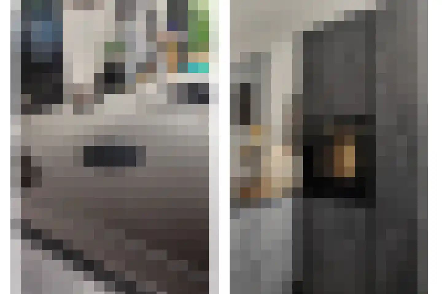Lijsterhof 66 Made thumbnail 16