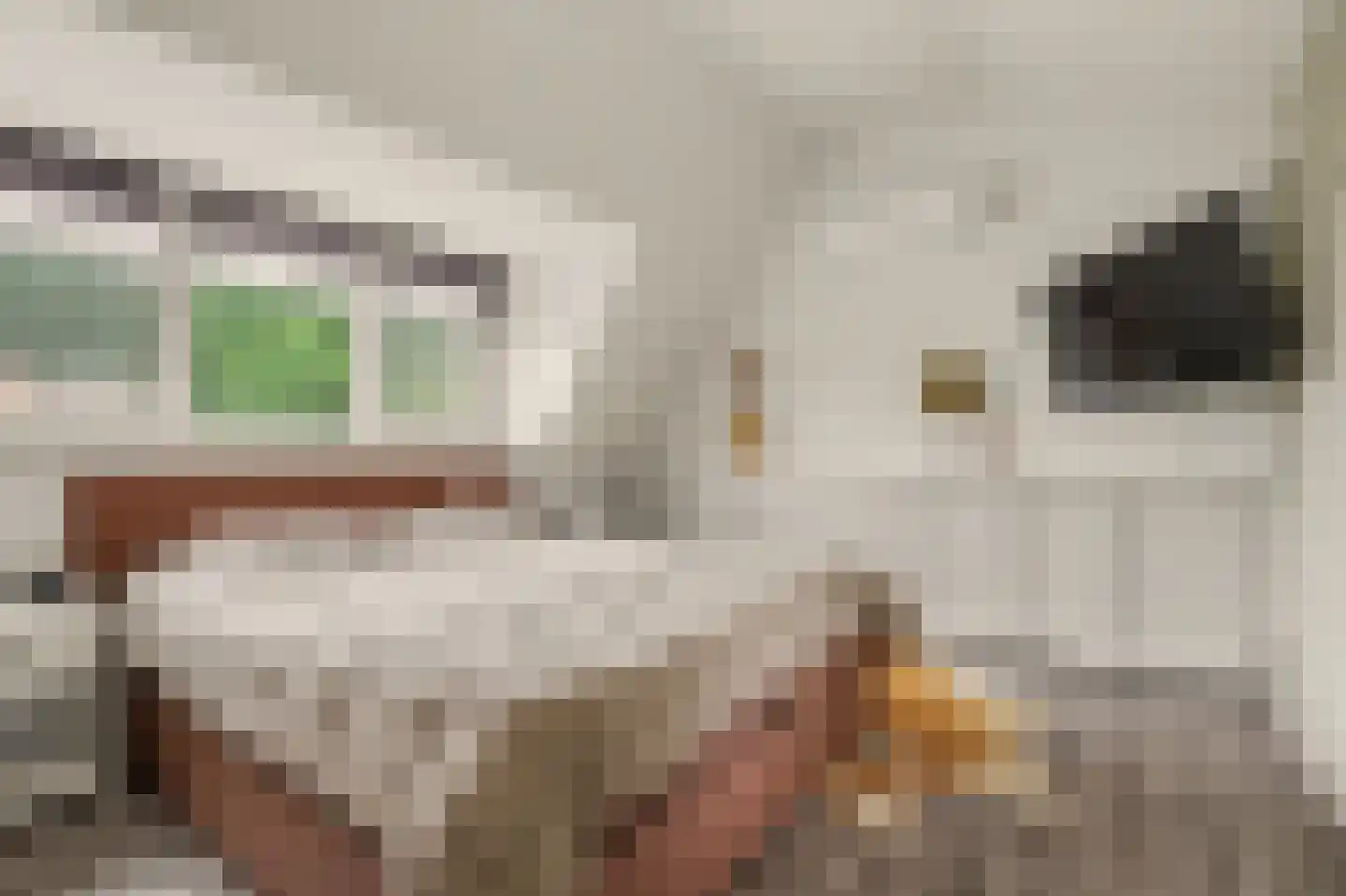 Lijsterhof 66 Made thumbnail 30