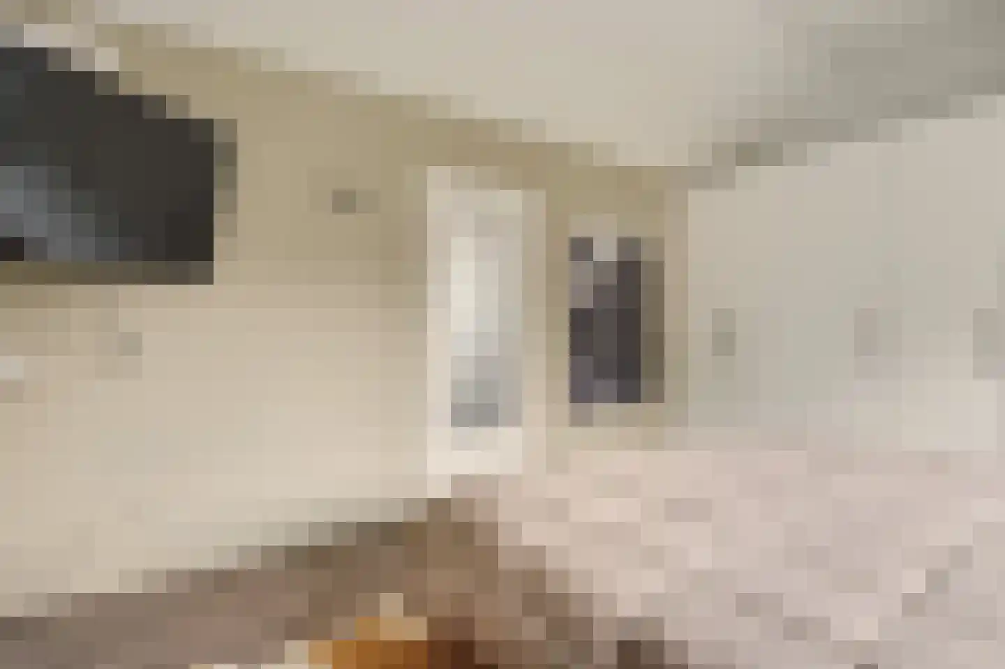 Lijsterhof 66 Made thumbnail 31