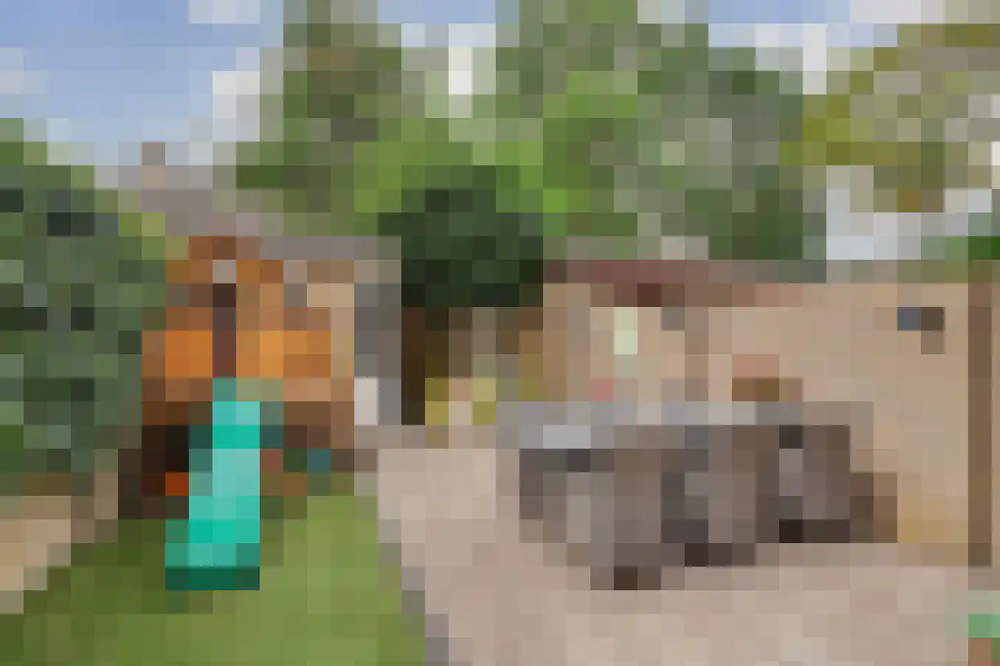 Lijsterhof 66 Made thumbnail 34
