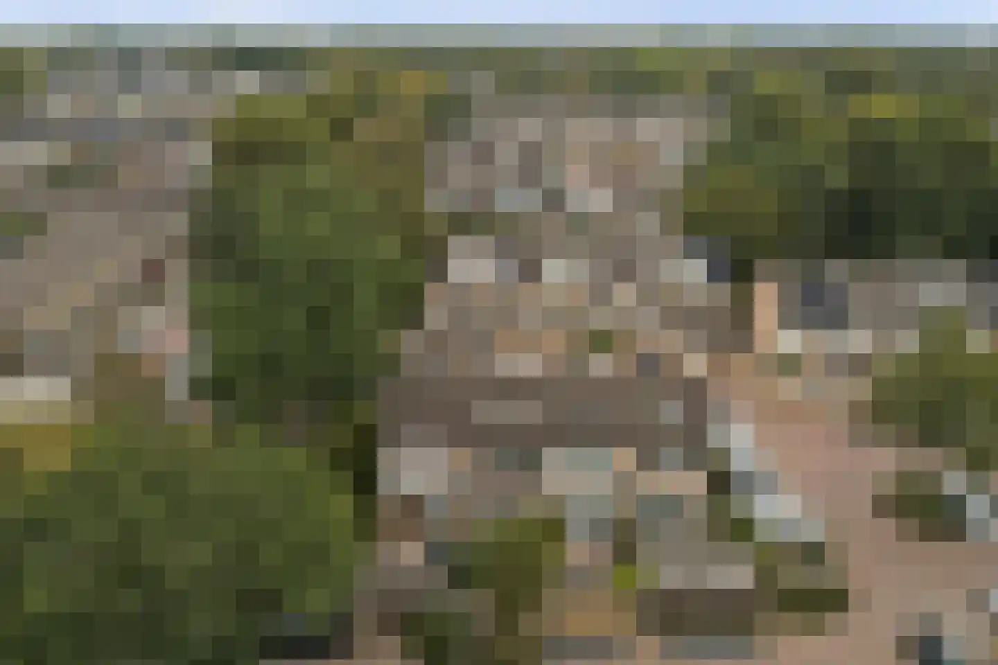 Lijsterhof 66 Made thumbnail 44