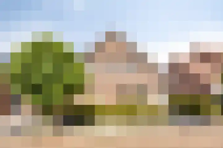 Lijsterhof 7 Elsloo thumbnail 11