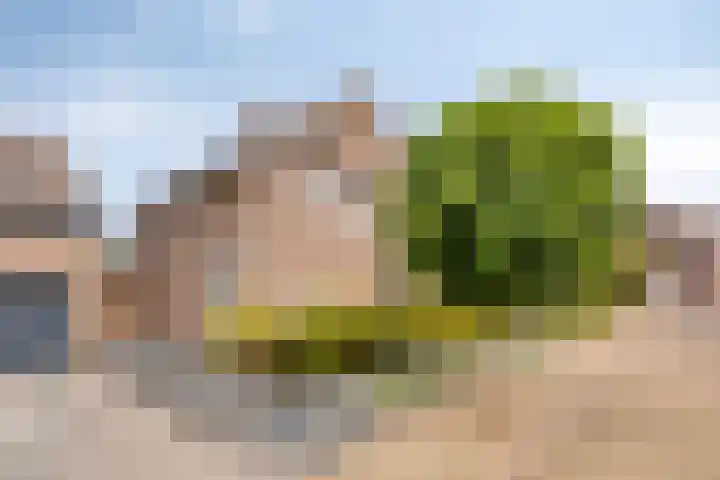 Lijsterhof 7 Elsloo thumbnail 12
