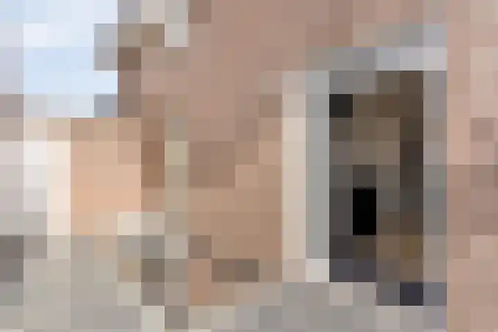 Lijsterhof 7 Elsloo thumbnail 13