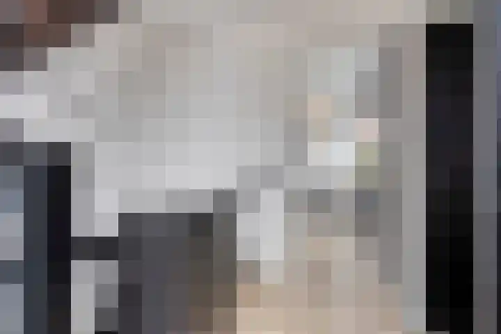 Lijsterhof 7 Elsloo thumbnail 15