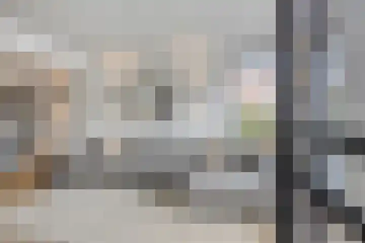 Lijsterhof 7 Elsloo thumbnail 16