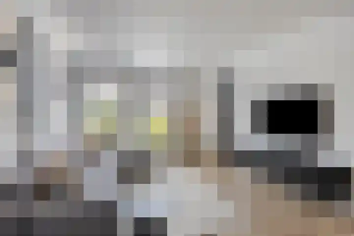 Lijsterhof 7 Elsloo thumbnail 17